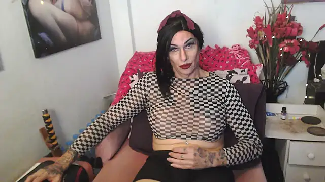 transagera online show from June 25, 2026, 2:22 am