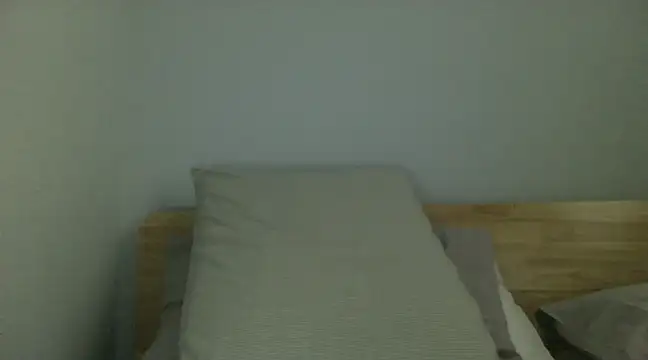 Snapshot of corlo2 chatting on January 22, 2025, 8:28 pm corlo2 online show from January 22, 2025, 8:28 pm