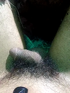 AssamSilchar93 online show from February 16, 2026, 4:41 am