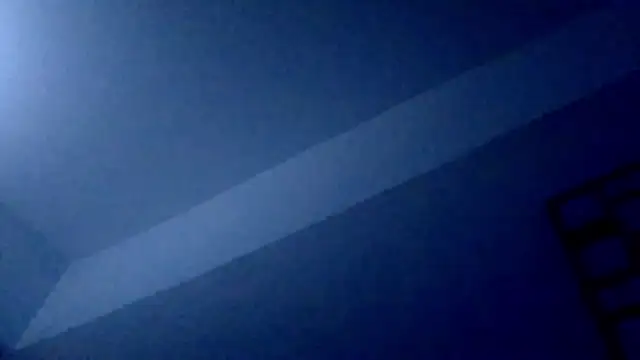 DreamTeamX online show from November 29, 2025, 1:14 pm