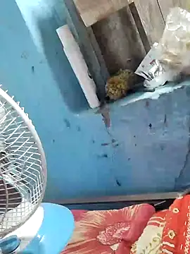 Natasha-In69 online show from February 6, 2025, 10:43 pm