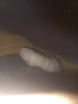 Snapshot of Eldelas_guachas chatting on December 1, 2025, 9:25 am Eldelas guachas online show from December 1, 2025, 9:25 am