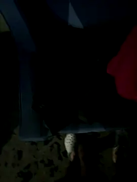 Snapshot of JosephAKenwood chatting on December 2, 2025, 1:39 pm JosephAKenwood online show from December 2, 2025, 1:39 pm