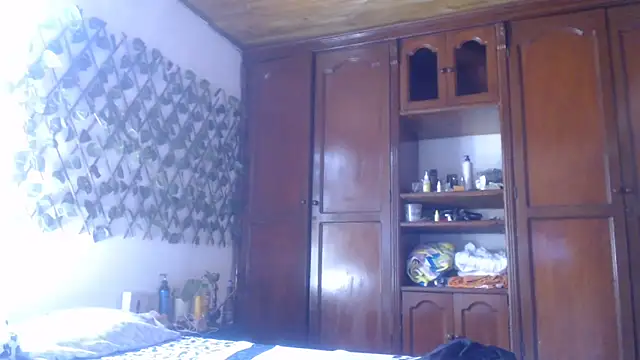 Snapshot of cougar_town chatting on January 29, 2025, 4:52 pm cougar town online show from January 29, 2025, 4:52 pm