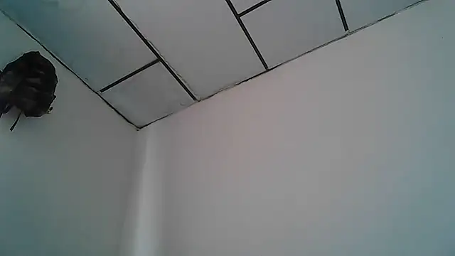 Alphadavid 23 online show from April 30, 2026, 4:02 pm