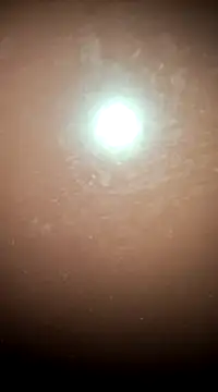 Snapshot of tall_nangu chatting on February 21, 2025, 6:04 pm tall nangu online show from February 21, 2025, 6:04 pm