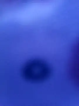 Snapshot of Mia_ross16 chatting on March 9, 2025, 6:11 pm Mia ross16 online show from March 9, 2025, 6:11 pm