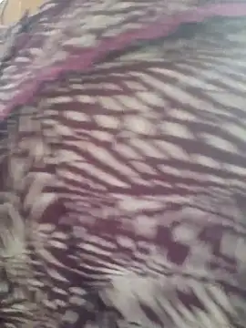 Snapshot of samitasharma chatting on November 14, 2025, 4:00 am samitasharma online show from November 14, 2025, 4:00 am