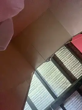 Dalton oficial online show from February 13, 2026, 1:45 am