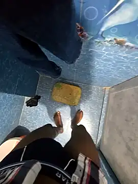 SageElement2 online show from February 19, 2026, 8:16 pm