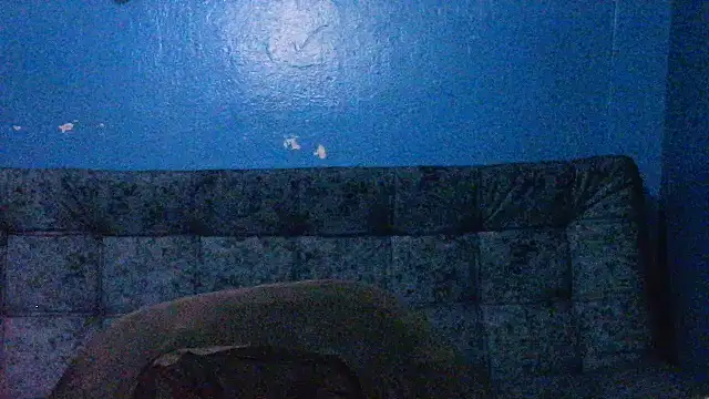 Marilyn xxxx online show from December 28, 2024, 12:04 am