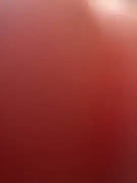 Snapshot of portugadopau chatting on September 10, 2025, 4:07 pm portugadopau online show from September 10, 2025, 4:07 pm