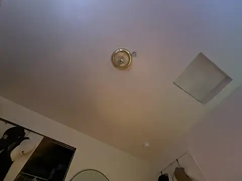 ganosex online show from December 24, 2024, 7:17 am