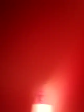 branquinho000007 online show from November 12, 2025, 4:40 pm