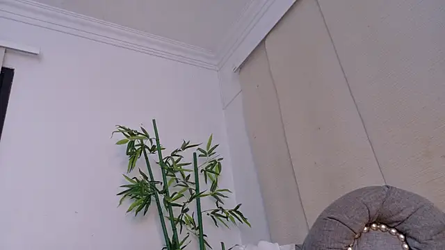 miranda villa online show from December 19, 2025, 12:01 pm