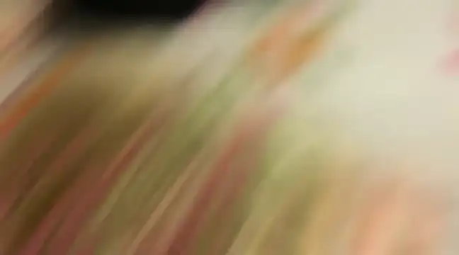 Snapshot of wild_x_predator chatting on January 10, 2025, 4:09 pm wild x predator online show from January 10, 2025, 4:09 pm