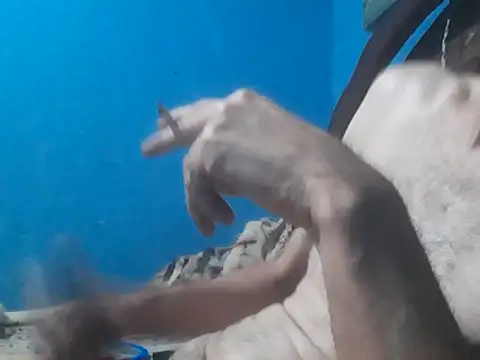 hugosafado333 online show from October 15, 2025, 6:35 am