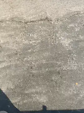 Snapshot of Gururonny07 chatting on December 13, 2024, 8:20 am Gururonny07 online show from December 13, 2024, 8:20 am