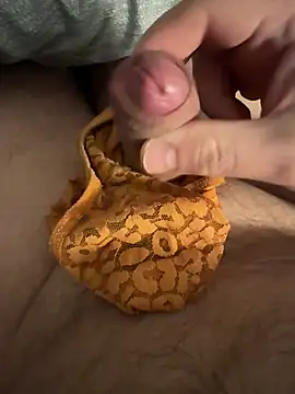 Snapshot of Voyeurpervert69 chatting on February 13, 2026, 10:06 pm Voyeurpervert69 online show from February 13, 2026, 10:06 pm