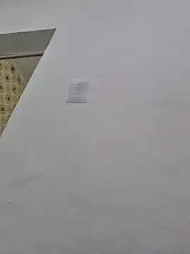 loiraodanadinha online show from December 11, 2024, 5:04 pm