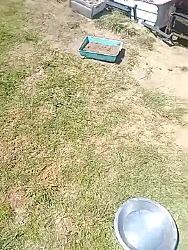 Snapshot of hornyhippies0080 chatting on March 4, 2026, 9:59 am hornyhippies0080 online show from March 4, 2026, 9:59 am