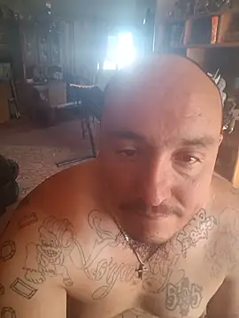 Snapshot of wilsons12 chatting on June 12, 2026, 2:49 pm wilsons12 online show from June 12, 2026, 2:49 pm
