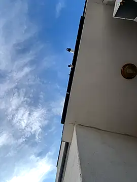 Snapshot of eddy355 chatting on November 9, 2025, 9:51 am eddy355 online show from November 9, 2025, 9:51 am