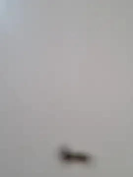 BriannaVincent online show from October 29, 2025, 4:26 am