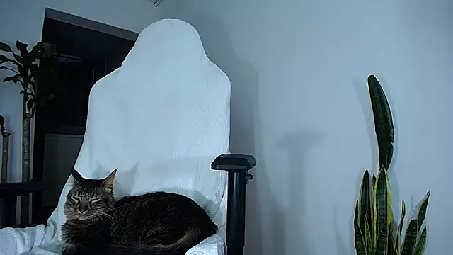 Snapshot of diamond_black00 chatting on February 24, 2025, 10:58 pm diamond black00 online show from February 24, 2025, 10:58 pm