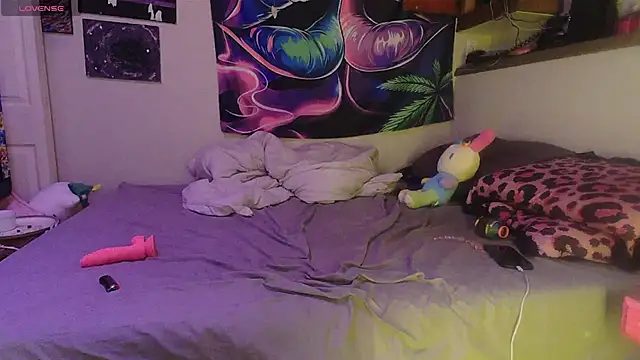 NovaLove2002 online show from February 25, 2026, 8:51 pm