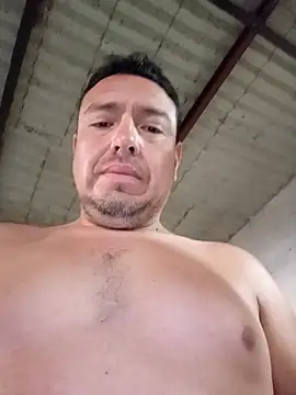 strip 1212 online show from November 27, 2025, 2:52 pm