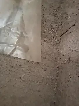 strip 1212 online show from November 29, 2025, 5:27 pm