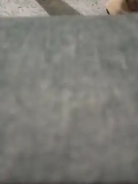 strip 1212 online show from March 26, 2026, 6:08 am