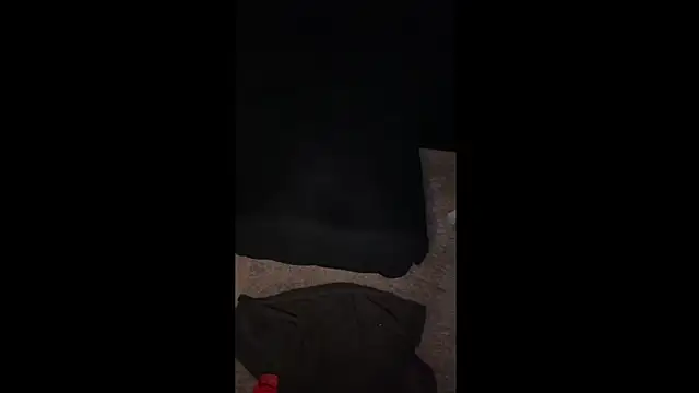 Snapshot of LuggiJack chatting on February 22, 2025, 1:11 am LuggiJack online show from February 22, 2025, 1:11 am