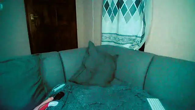 Snapshot of GoldenPussyXOXO chatting on December 5, 2024, 11:40 pm GoldenPussyXOXO online show from December 5, 2024, 11:40 pm