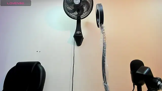 alice  tylor online show from March 12, 2025, 11:42 am