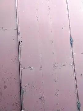 Snapshot of Polygamist chatting on December 16, 2025, 7:46 am Polygamist online show from December 16, 2025, 7:46 am