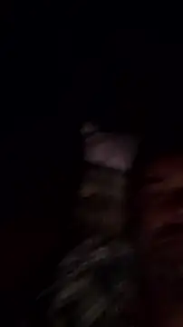 Snapshot of Gianlucazeis chatting on June 3, 2026, 2:58 am Gianlucazeis online show from June 3, 2026, 2:58 am