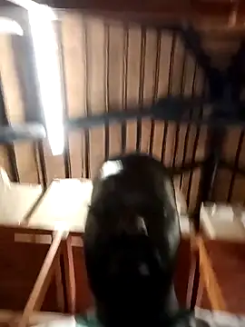 Snapshot of Touch_mysoul chatting on October 26, 2025, 8:09 am Touch mysoul online show from October 26, 2025, 8:09 am