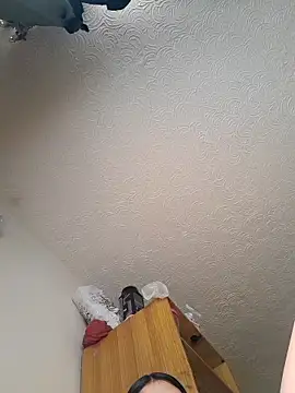 Sweel Leyva18 online show from November 14, 2025, 1:43 pm