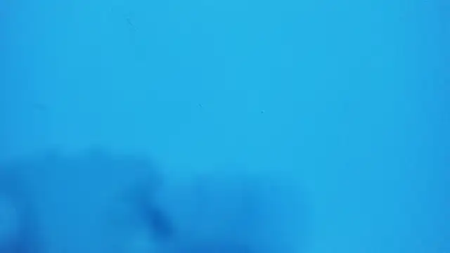 Snapshot of _hairybeard_ chatting on February 20, 2025, 9:22 am hairybeard online show from February 20, 2025, 9:22 am