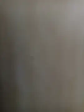 wildfox566 online show from March 16, 2026, 3:34 am