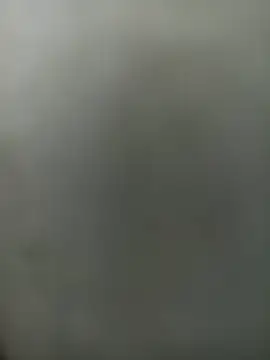 Snapshot of wildfox566 chatting on March 30, 2026, 3:40 am wildfox566 online show from March 30, 2026, 3:40 am