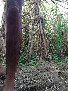 Snapshot of cjonybab chatting on November 18, 2025, 10:20 am cjonybab online show from November 18, 2025, 10:20 am