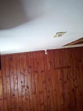      sams online show from November 20, 2025, 8:41 pm