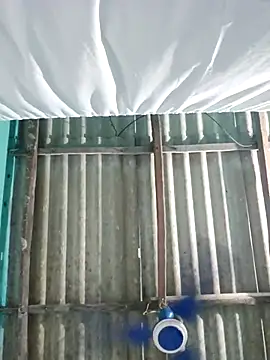 hotbaby 5 online show from October 7, 2025, 3:36 am