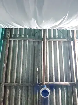 hotbaby 5 online show from October 28, 2025, 2:53 pm