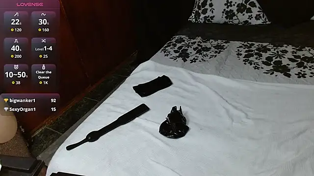 Snapshot of Persefonefire chatting on February 2, 2026, 9:52 am Persefonefire online show from February 2, 2026, 9:52 am