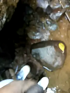 Snapshot of dpkpaksudda chatting on September 24, 2025, 7:12 am dpkpaksudda online show from September 24, 2025, 7:12 am