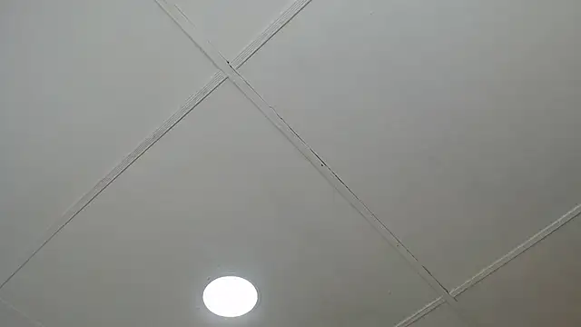 Snapshot of dannaberlin_0 chatting on March 8, 2025, 12:20 pm dannaberlin 0 online show from March 8, 2025, 12:20 pm